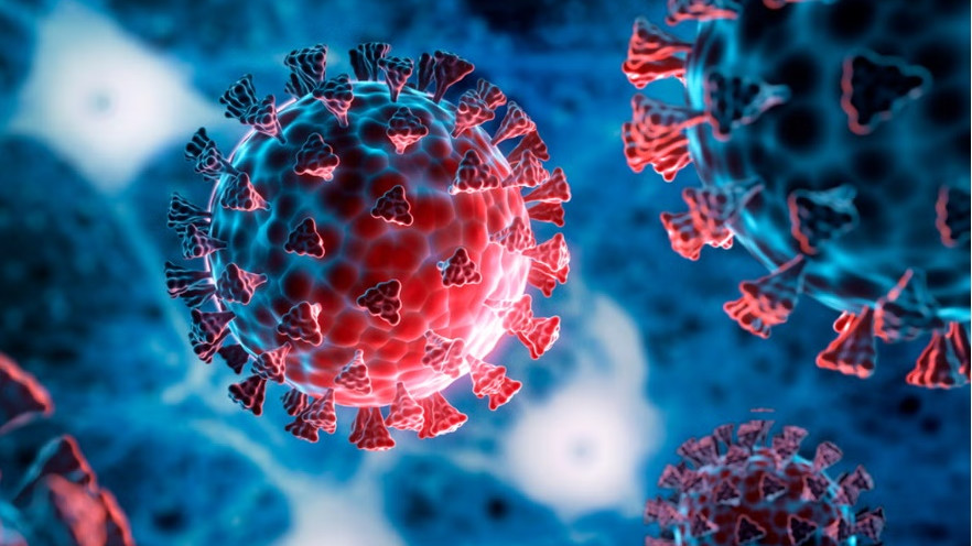 COVID19 stir in Andhra Pradesh as two die with symptoms in Kadapa and Rajampeta