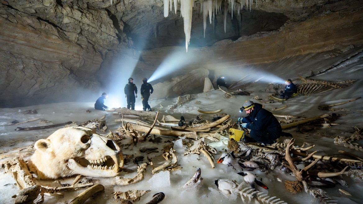 75000 year old secret biological world discovered in Norway cave