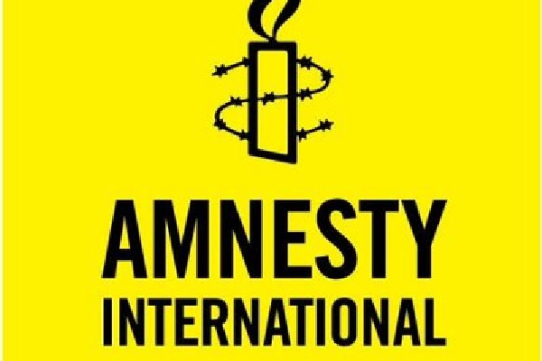 amnesty internations halts its activities in india 