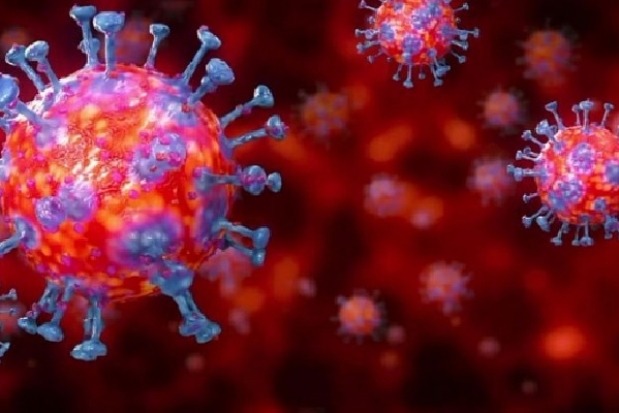 Report on Virus Spread is Not Final Says ICMR
