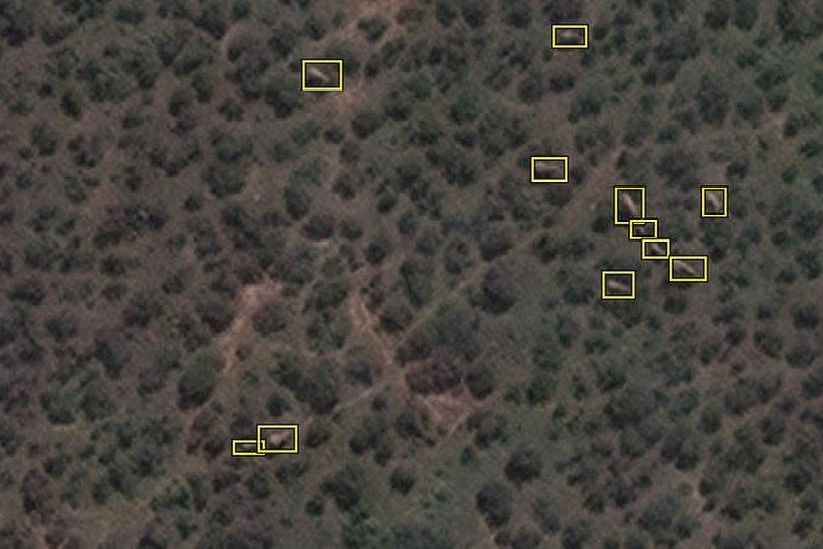 Elephants counted from space for conservation