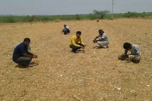 Search for Diamonds Started in Kurnool Dist