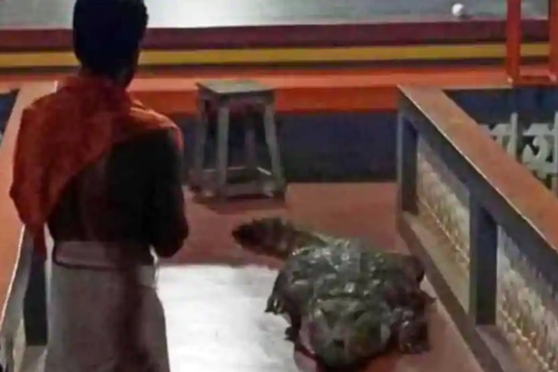 Crocodile in Kerala Temple