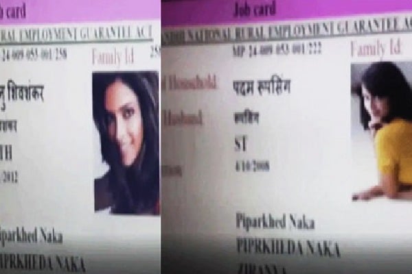 Bollywood heroins photos on job cards
