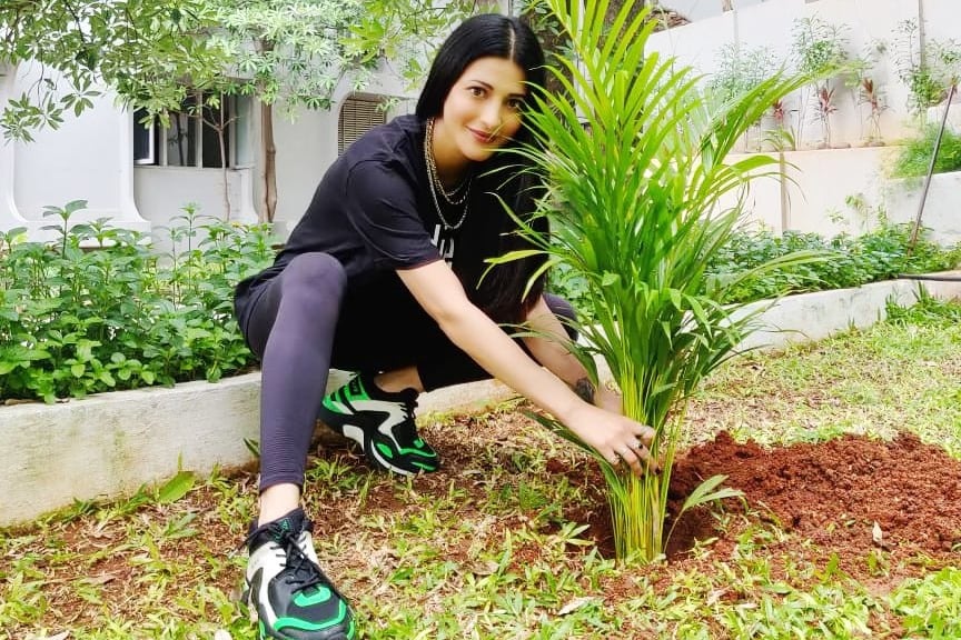 Actress Shruti Haasan participates in Green India Challenge