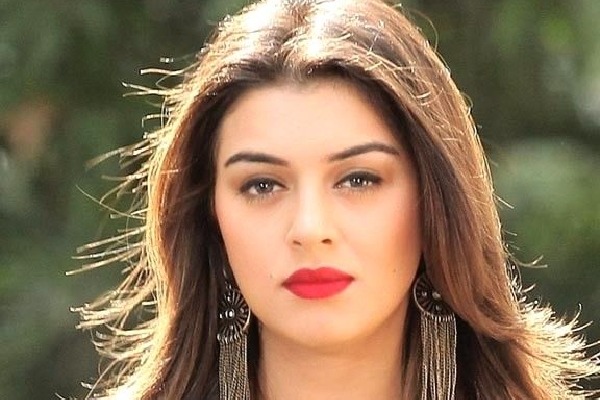 There is no place for marriage in my life says Hansika
