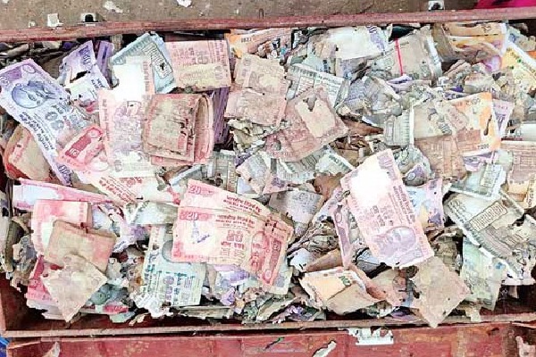 5 lakh rupees destroyed by Termites in krishna dist
