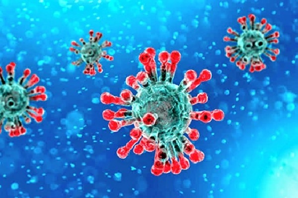 Researchers says corona virus causes massive brain strokes 