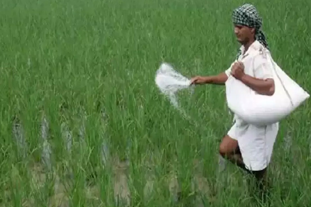 Govt ready to hike urea price after assembly elections