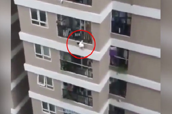 Delivery Driver Catches Toddler Who Fell From 12th Storey