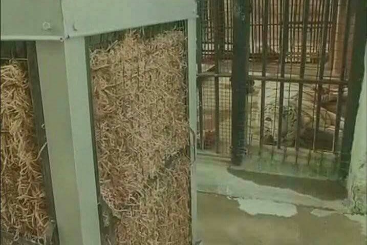 Air Coolers for animals in Hyderabad Zoo