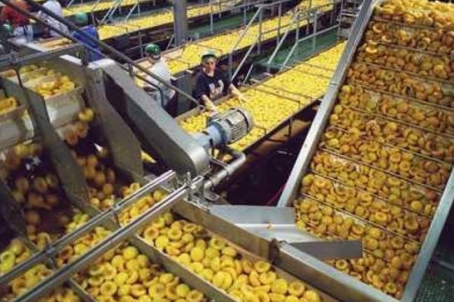 Centre approves PLI Scheme for Food processing industry