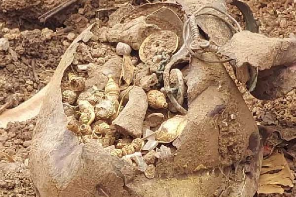 Treasure pot found in Pembarti village in Janagam district