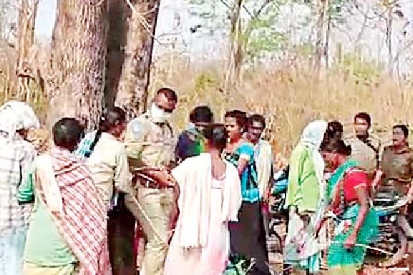Tribals Attacked on Forest Officers in Bhadradri Kothagudem dist