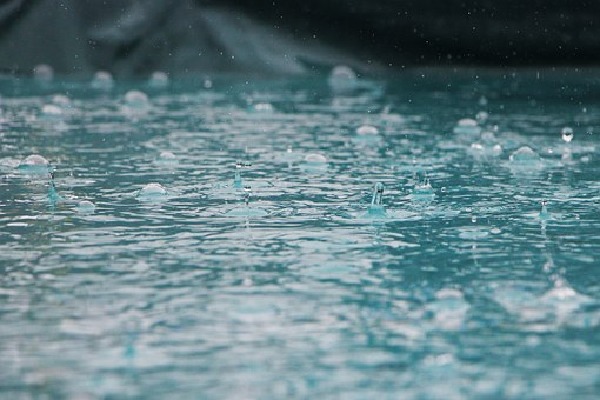 Satisfactory Rains This Year IMD Forecast