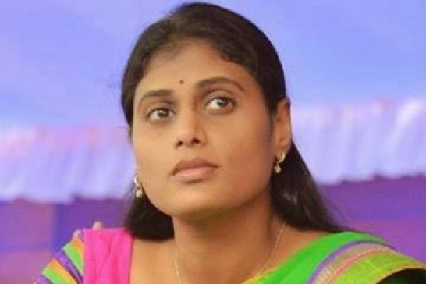 YS Sharmila calls unemployed do not loss confidence 