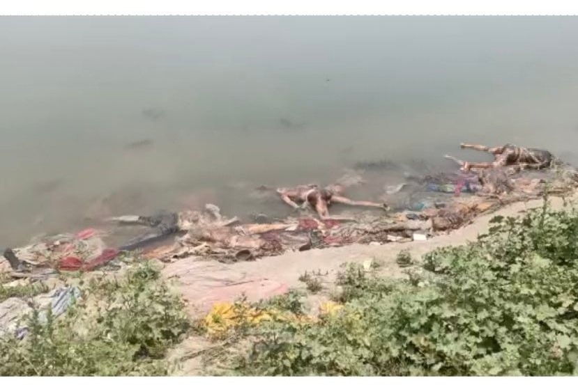 Centre issues notice to Uttar Pradesh and Bihar after dead bodies spotted at Ganga River