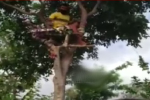 After tested corona positive BTech student shifted upon a tree for isolation