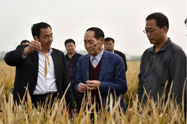 Chinas Yuan Longping dies rice research helped feed world