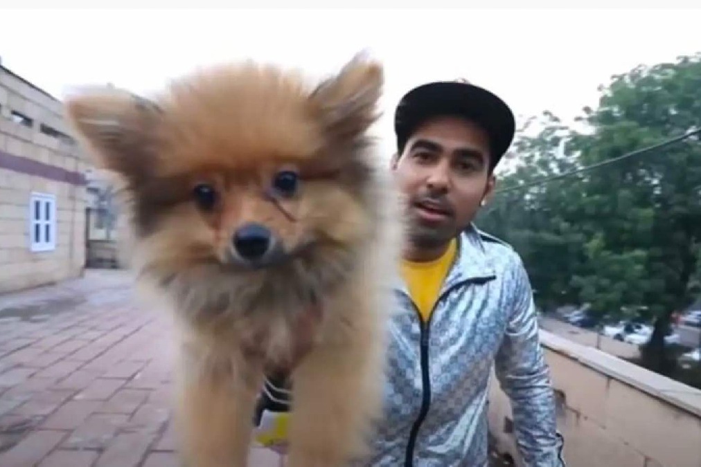 Delhi police arrests youtuber after he tied balloons to his dog 