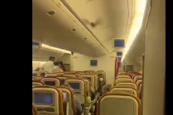 USA bound Airindia plane returns Delhi airport after bat entered into flight cabin