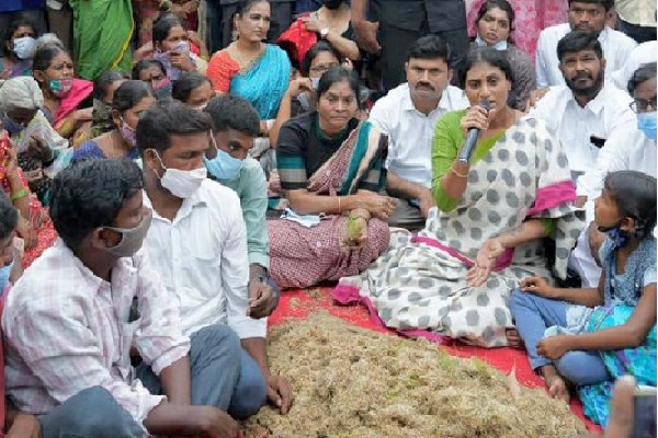 YS Sharmila questions CM KCR behalf of farmers 