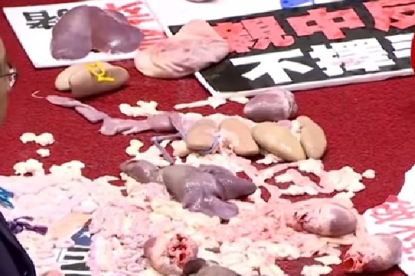 Pig guts fly as Taiwan lawmakers fight in parliament 