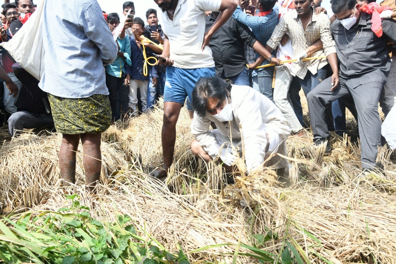 Will pressurise govt till each farmer gets compensation says Pawan Kalyan