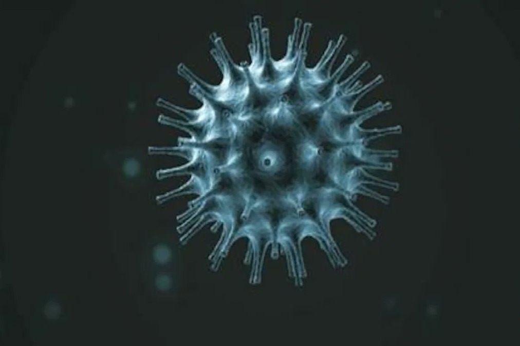 coronavirus cases in telangana