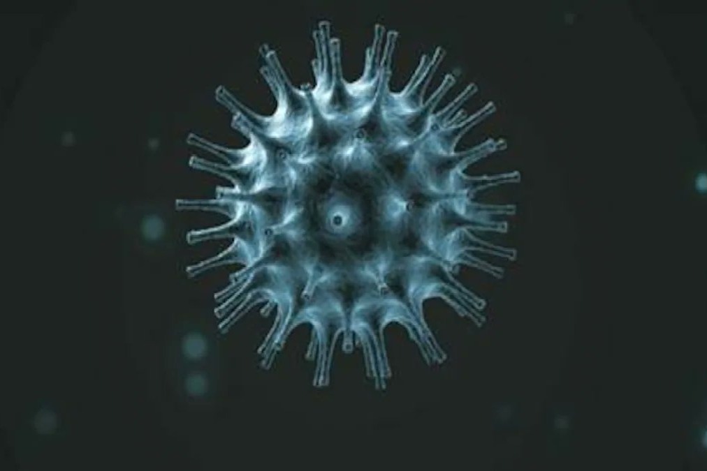 AP Corona Virus statistics and details