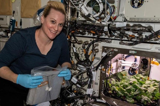 White Carrot Crop in Space Station