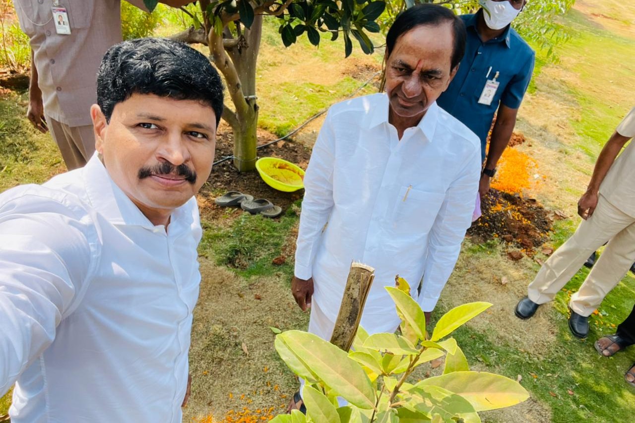 KCR planted Rudraksha sapling