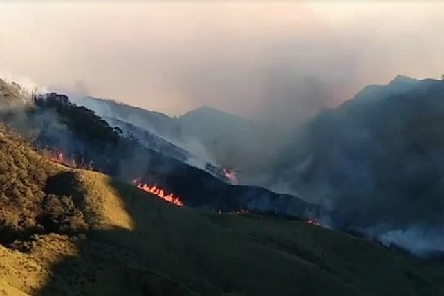 Massive wildfire engulfs large parts of Dzuko valley on Nagaland Manipur border