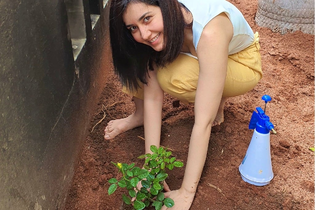 Raashi Khanna participates in Green India Challenge
