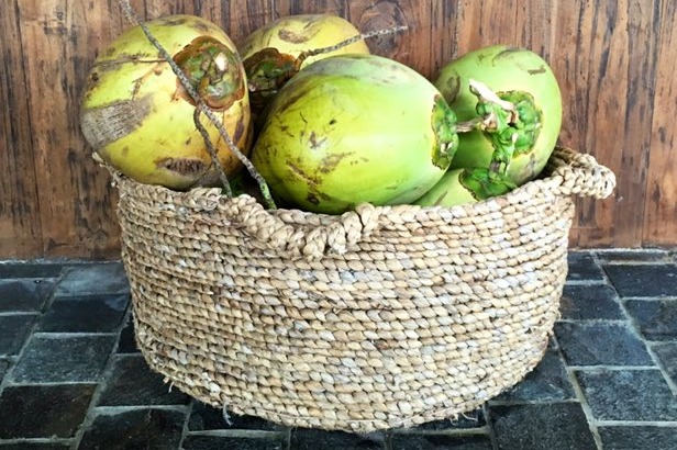 Indonesian colleges decides to take coconuts as fees from students amidst corona pandemic