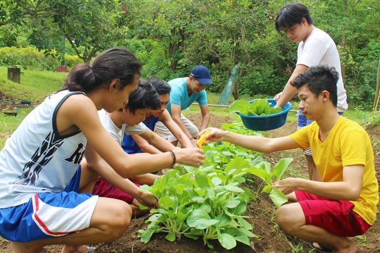 Every student in Phillippines must plant ten trees towards graduation as per new law