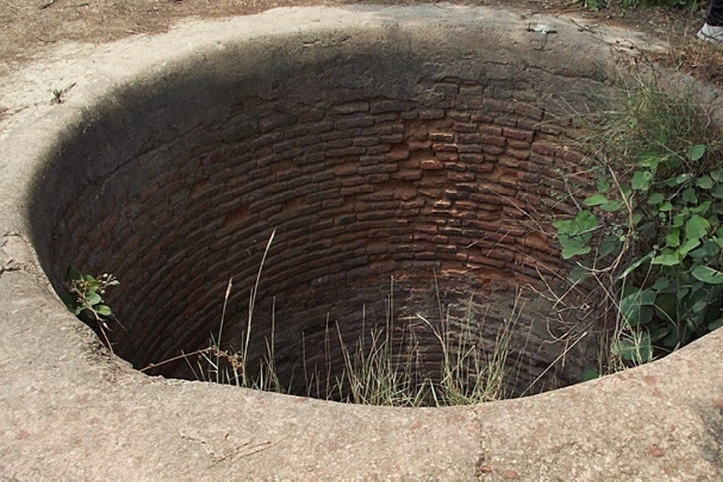 villagers find strange animal in a well in east godavari