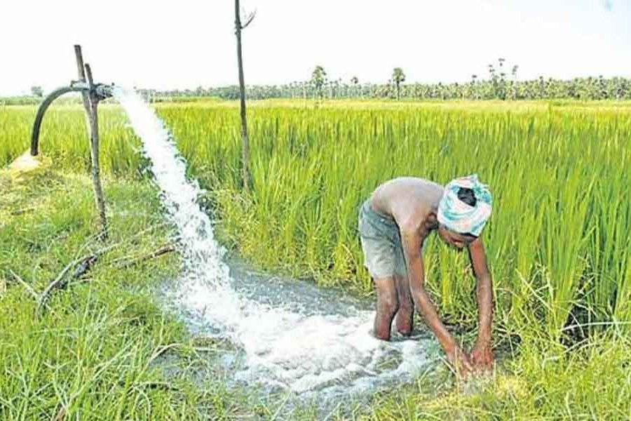 New rules in free electricity programme for agriculture in AP