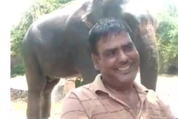 Man writes 5 cr will to elephants