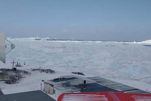 Corona virus touched Antarctica