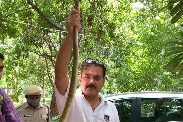 Hyderabad CP Anjani Kumar captures a snake 