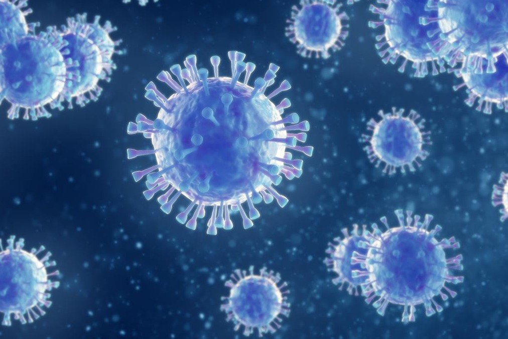new study that tells corona virus relieves from pain