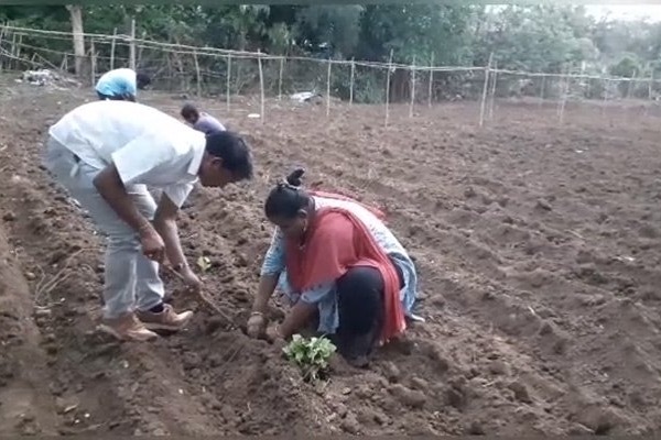 YSRCP MP Madhavi Busy With Farming
