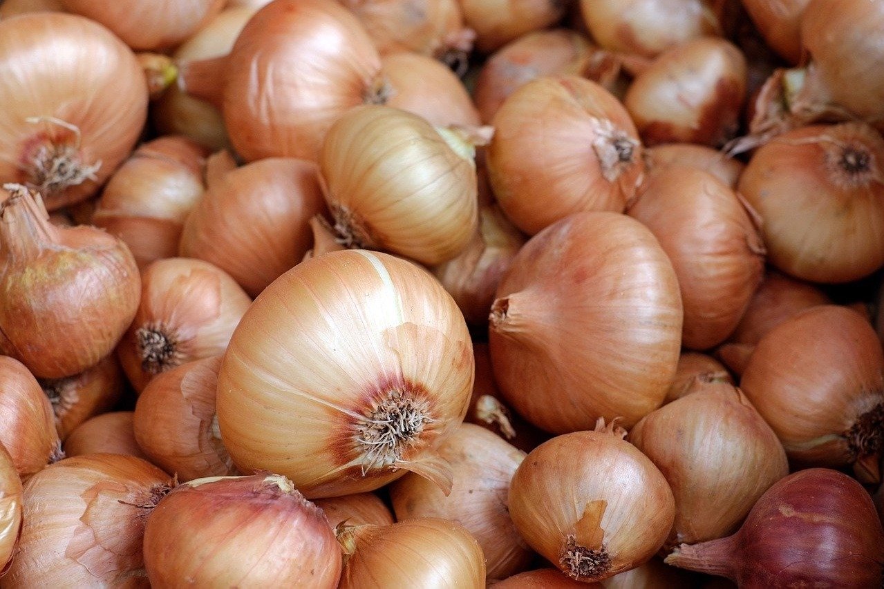 Union govt ban export of Onions