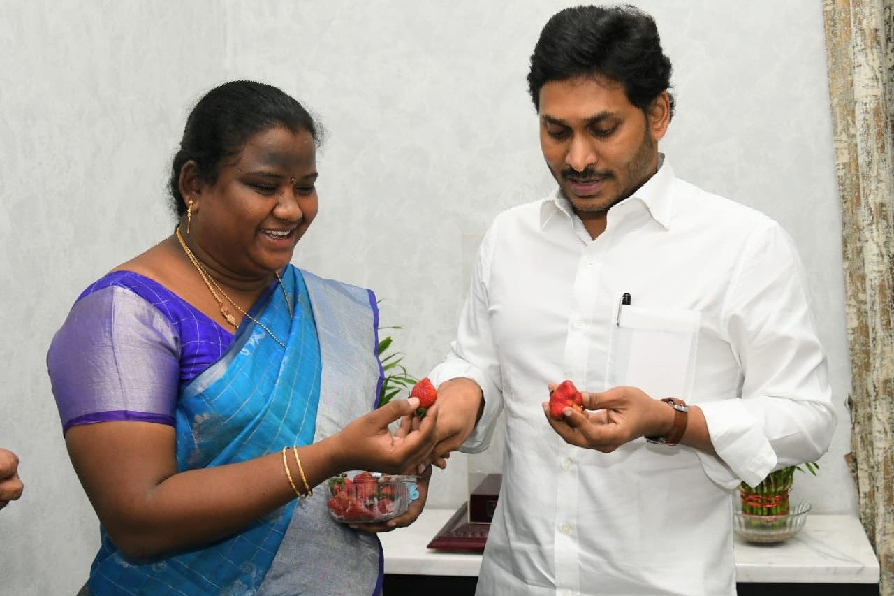 Araku MP Goddeti Madhavi presents Strawberries to CM Jagan