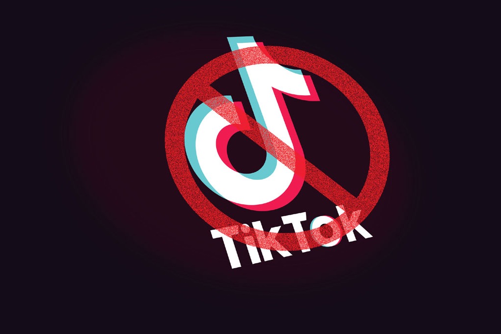America backs India on TikTok ban