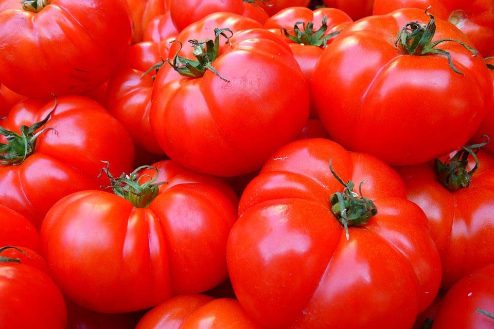 Tomato price in Telangana Hiked