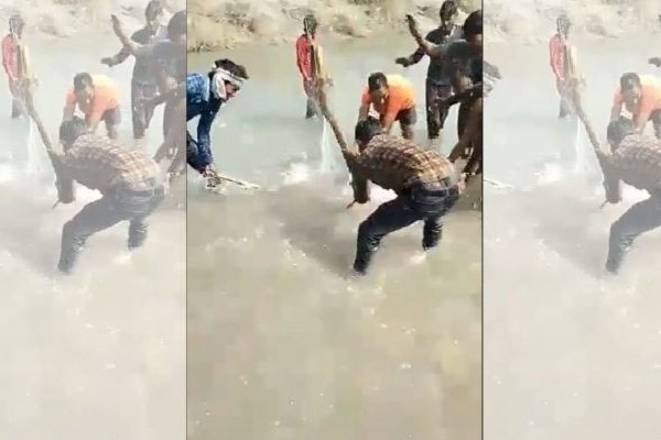 Gangetic dolphin beaten to death in UPs Pratapgarh