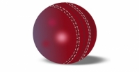 CP notifies parking arrangements for India-Bangladesh Test Match at Uppal stadium