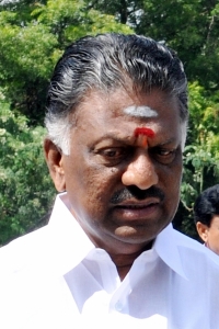 TN government clears Jallikattu ordinance